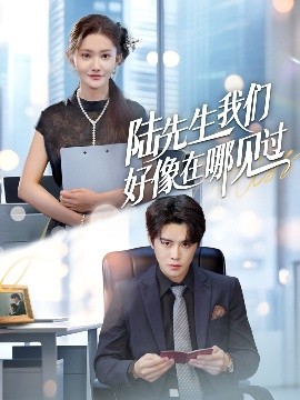 陆先生我们好像在哪见过